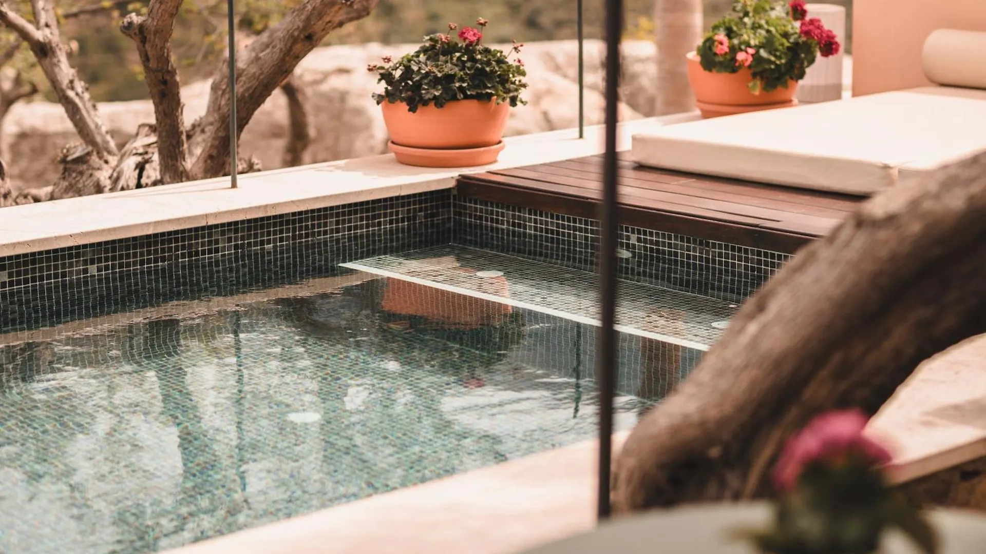 Farm stay Sa Pedrissa Villa Deia